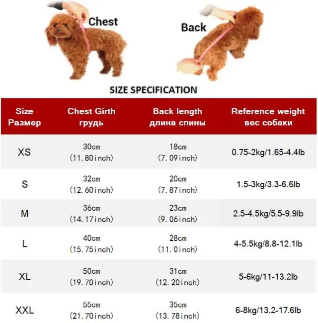 Fashion Cat Denim Vest and Puppy Jacket - Image 5