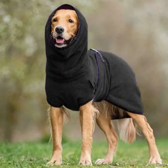 Pet Clothes - Image 9