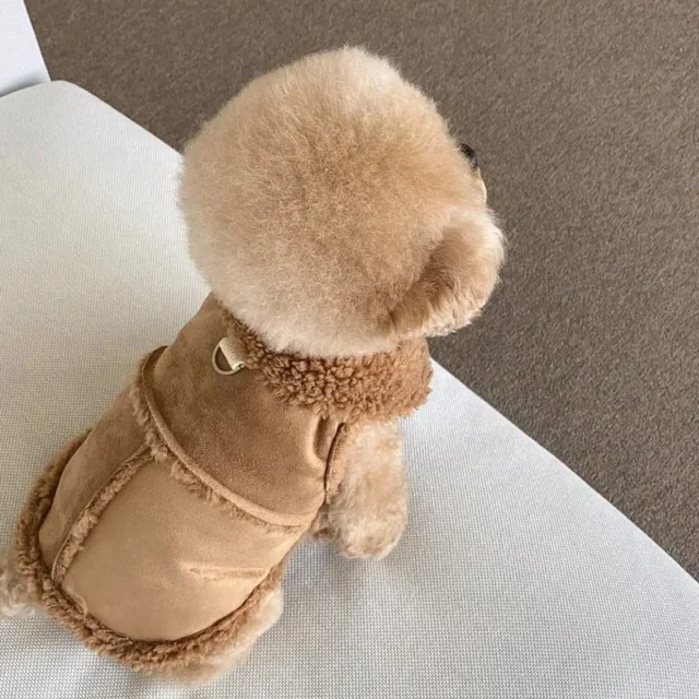 Pet Sweatshirt Dresses - Image 3