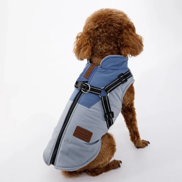 Pet Dog Jacket - Image 2
