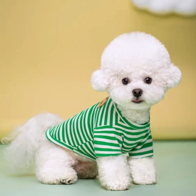 T-Shirt Cotton For Girls Dog - Image 4